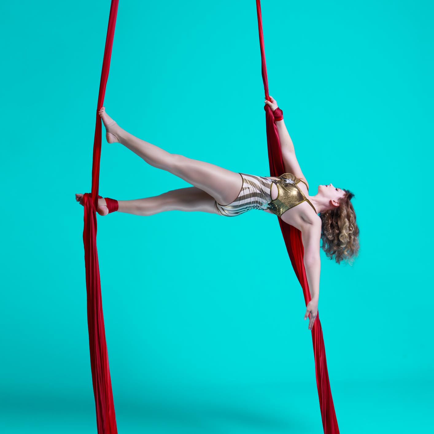 Pole and aerial arts photo by Logan - 5D4_1075-Edit